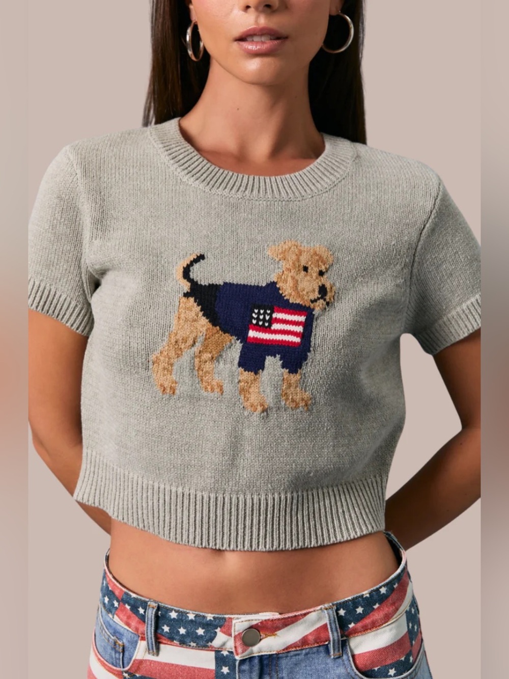 Le Lis Light Gray Cropped Knit PATRIOTIC PUPPY SWEATER Top with Dog - Picture 3 of 6